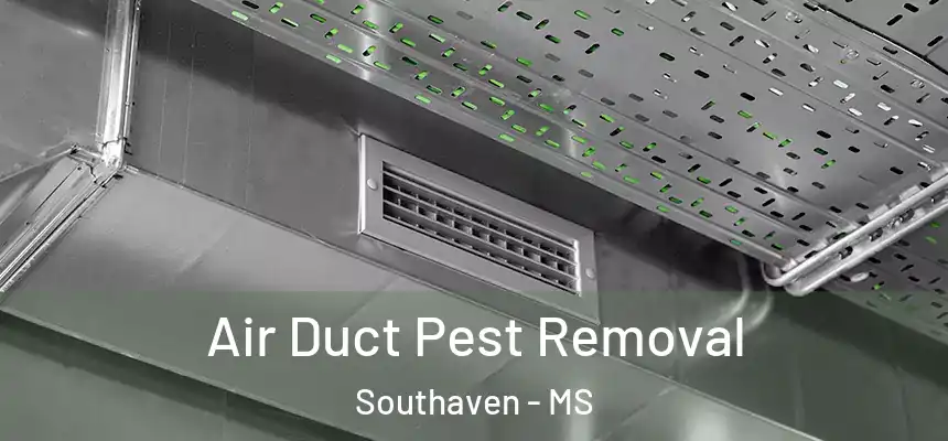 Air Duct Pest Removal Southaven - MS