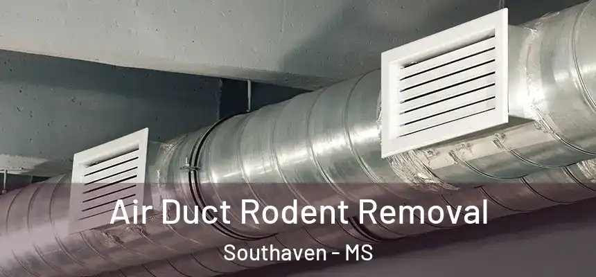 Air Duct Rodent Removal Southaven - MS
