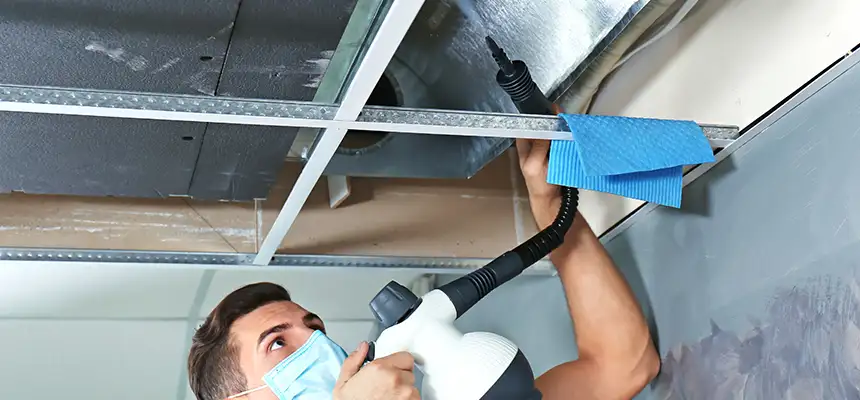 Our Air Duct Rodent Removal Services in Southaven, MS
