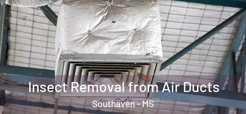 Insect Removal from Air Ducts Southaven - MS