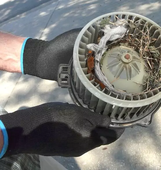 About Air Duct Rat Removal in Southaven, MS