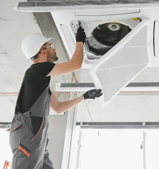 About Air Duct Rodent Removal in Southaven, MS