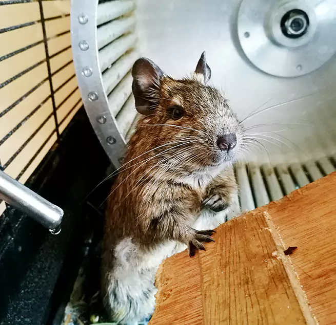 Why Homeowners & Businesses Trust Us Southaven, MS