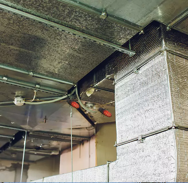 Why Homeowners & Businesses Trust Us Southaven, MS?