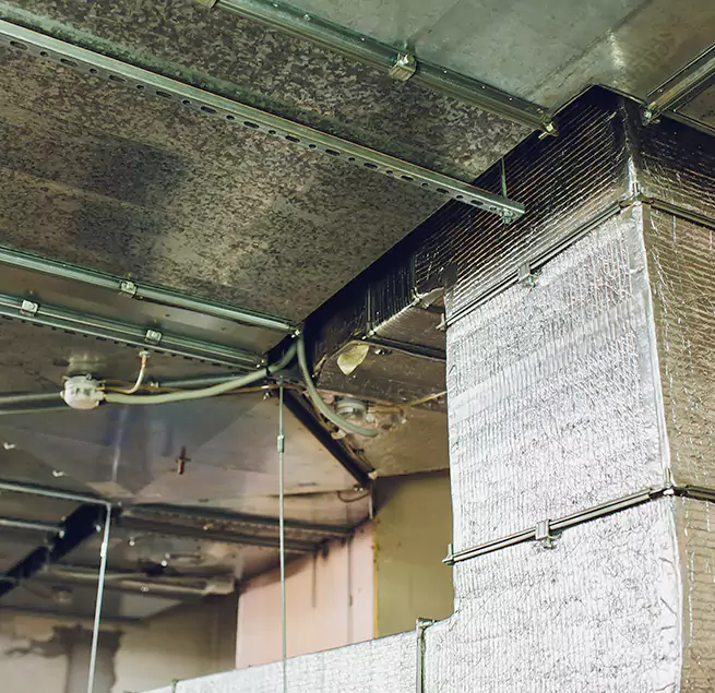 Why Homeowners & Businesses Trust Us in Southaven, MS?